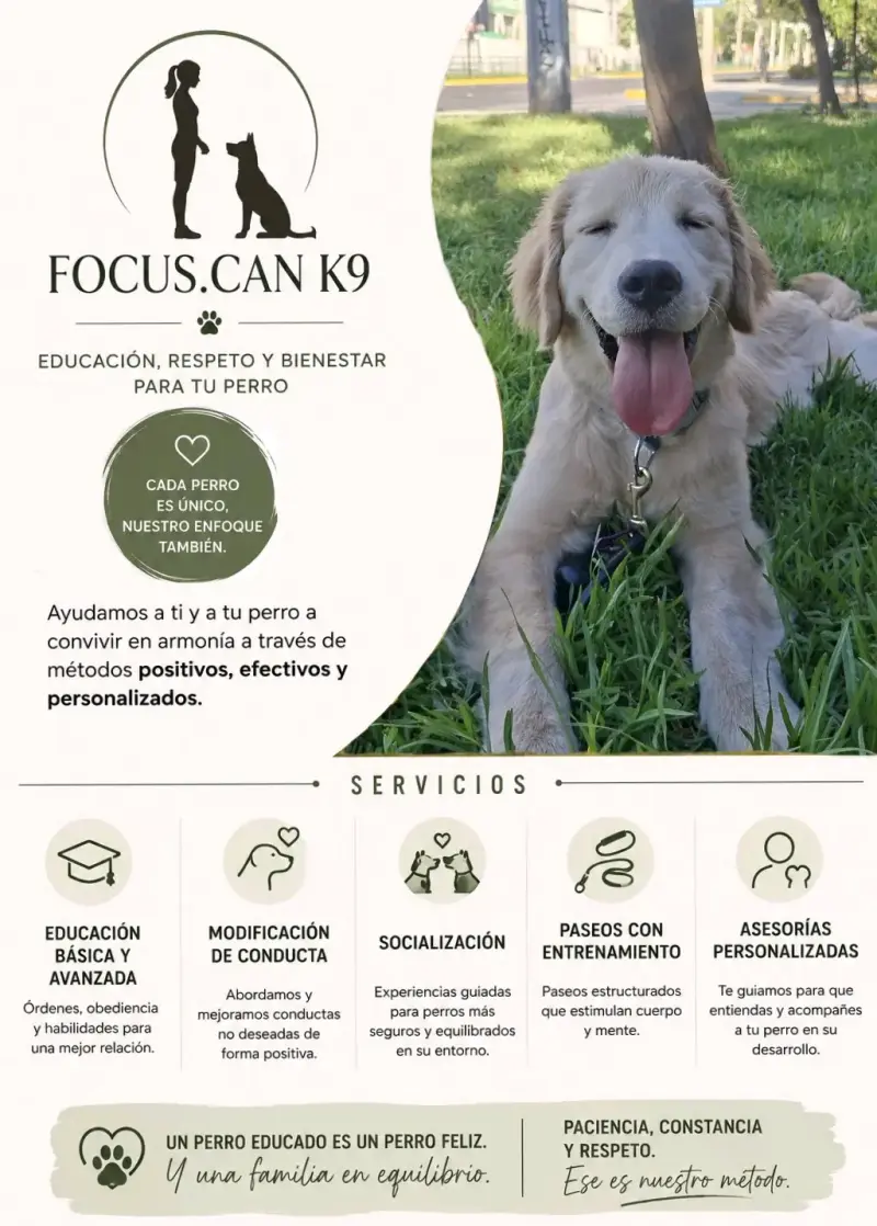 Servicios de educación canina Focus.Can K9