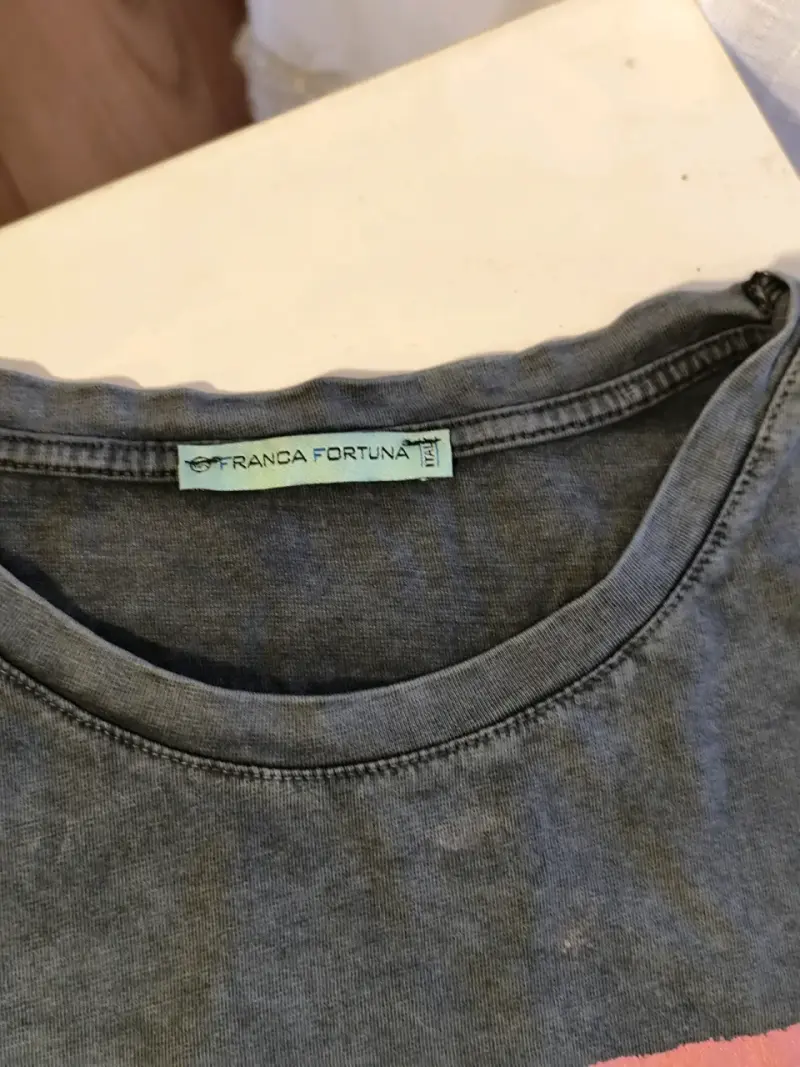 Polera gris con diseño de tigre Franca Fortuna - 5