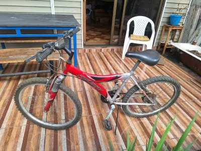 Bicicleta Oxford - miniatura 6