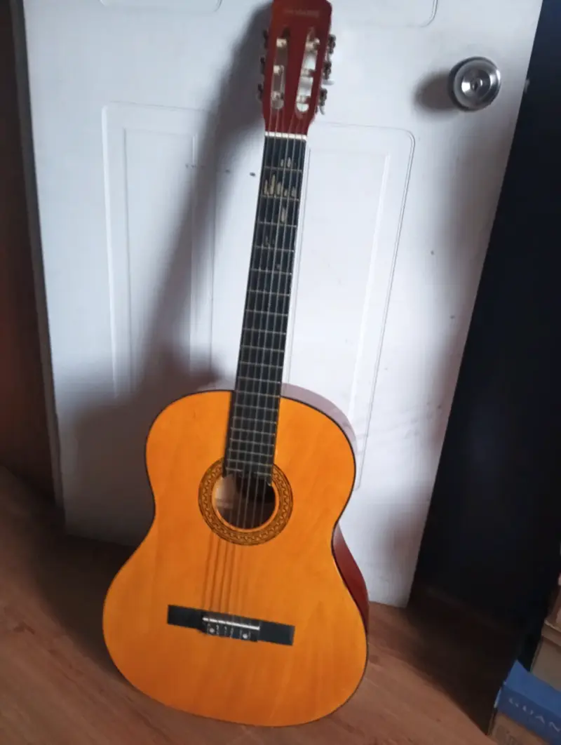 Guitarra clásica Damaris con funda - 1