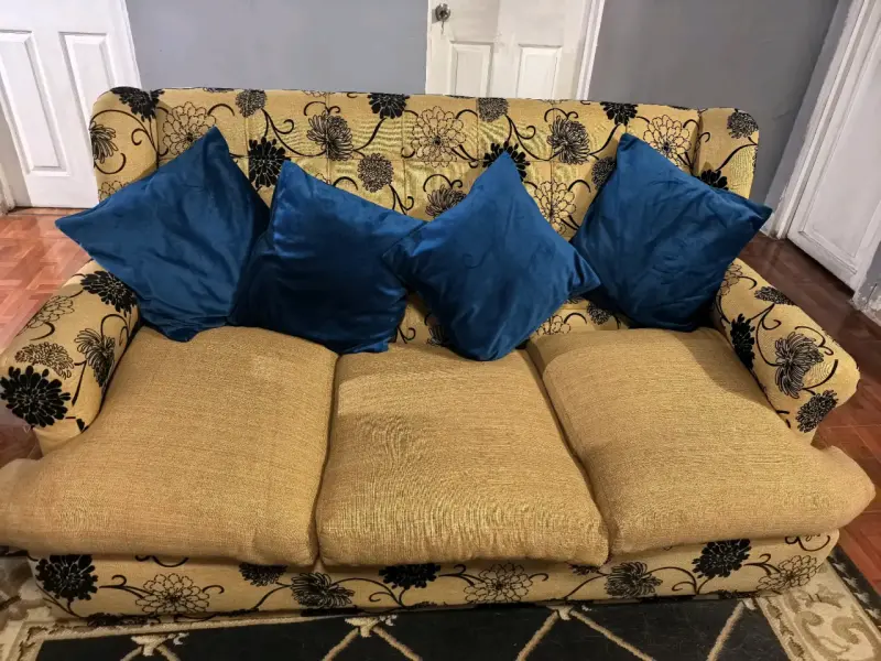 Sofá y sillones estampados con cojines azules - 1