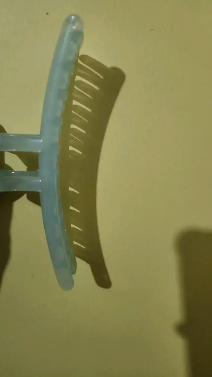Pinza de Pelo Plástica Transparente - 1