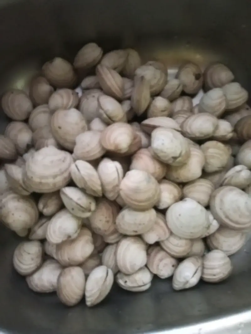 Almejas frescas para cocinar - 1