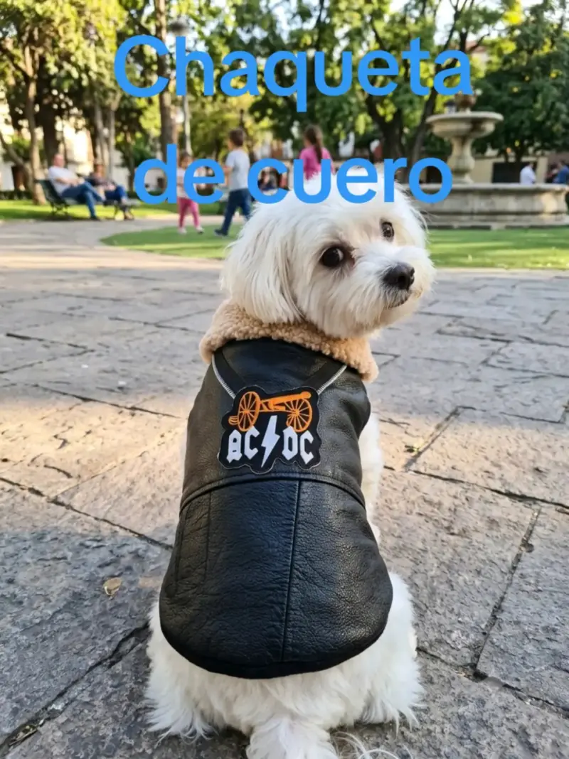Chaqueta de cuero para perro con diseño AC/DC - 1