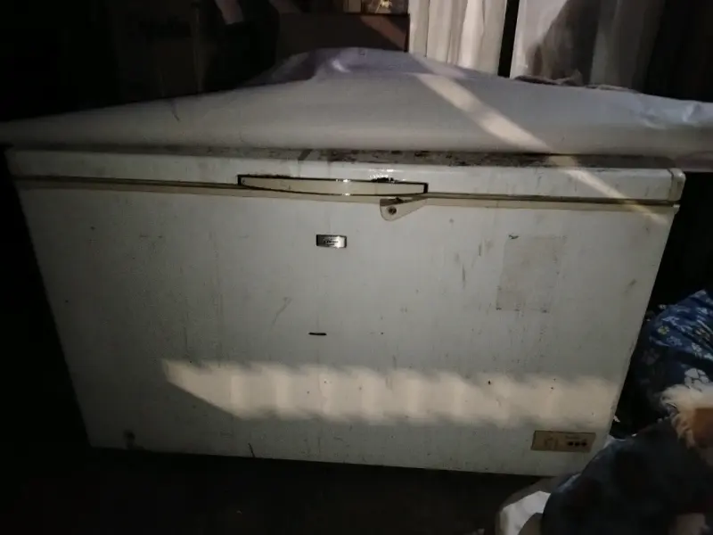 Congelador horizontal 300 lts - 3
