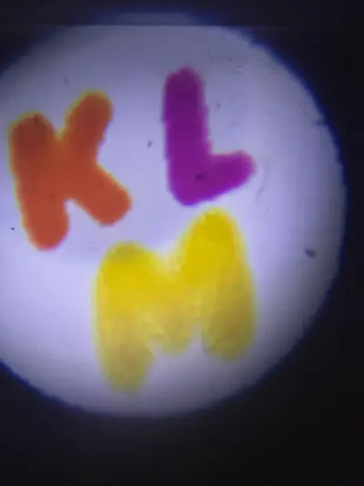 Linterna proyectora infantil con discos de imágenes - miniatura 6