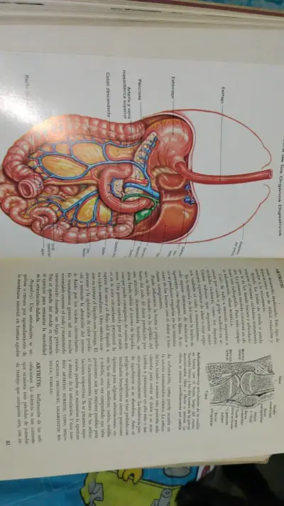 Enciclopedia Familiar de la Medicina y la Salud Volúmenes 1 y 2 - miniatura 5