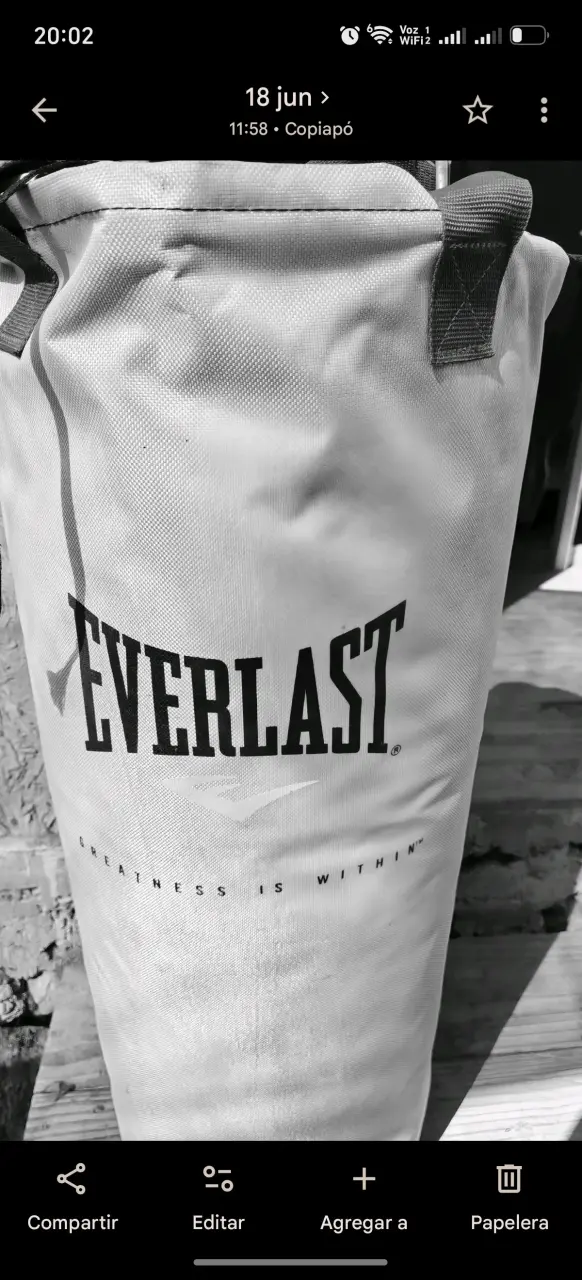 Saco de Boxeo Everlast Polycanvas Blanco 60 Libras - 2