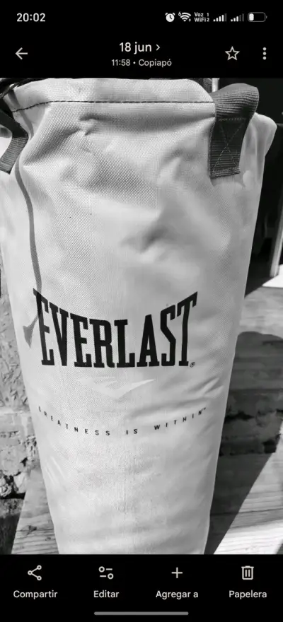 Saco de Boxeo Everlast Polycanvas Blanco 60 Libras - miniatura 2