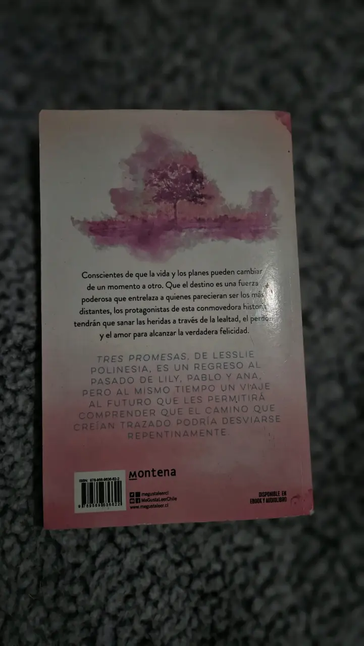 Libro Tres Promesas de Lesslie Polinesia - 2