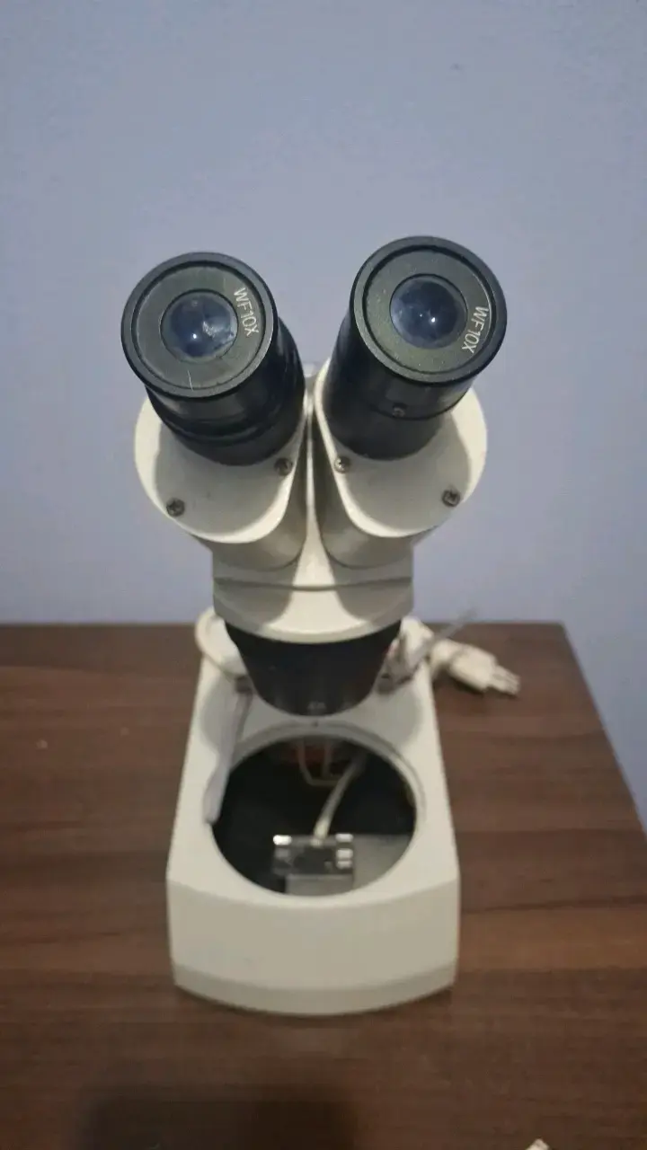 Microscopio binocular - 1