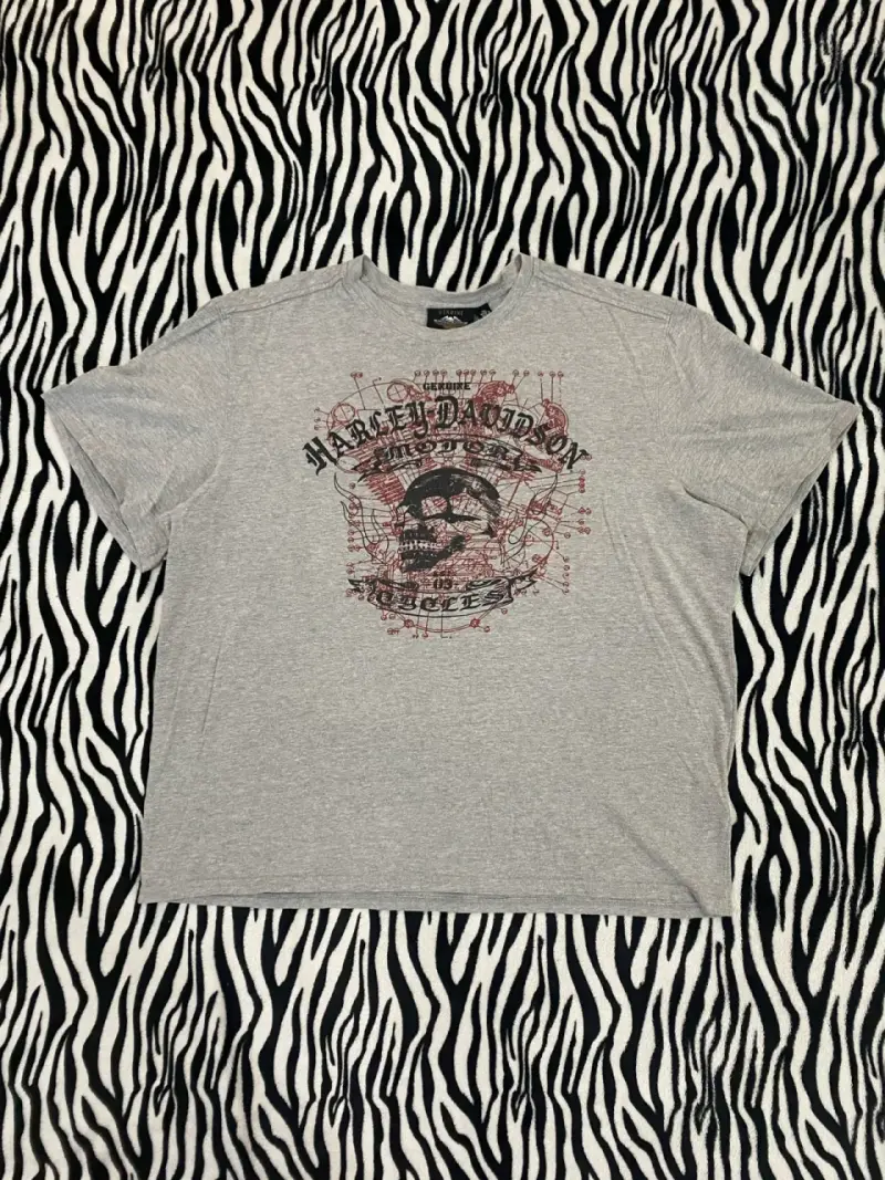 Polera Harley-Davidson gris con diseño gráfico - 2