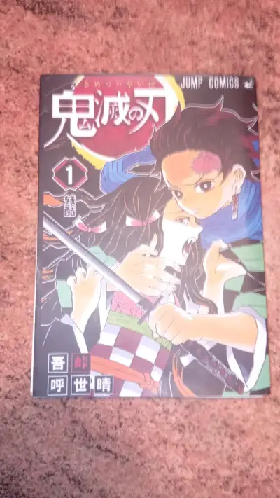 Manga Kimetsu no Yaiba Volumen 1 - miniatura 1