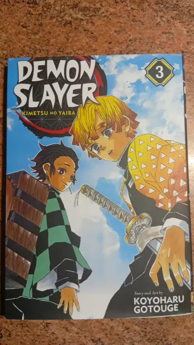 Manga Demon Slayer Kimetsu no Yaiba Volumen 3 - miniatura 1