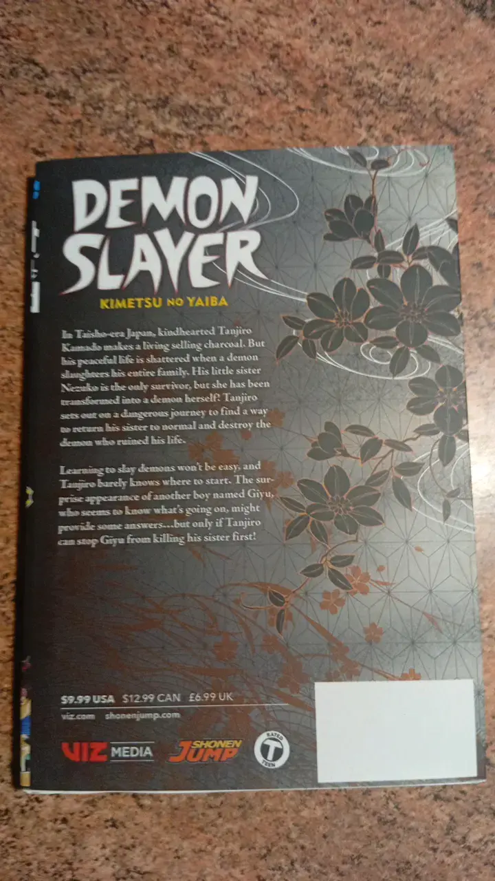 Manga Demon Slayer Kimetsu no Yaiba Volumen 3 - 2