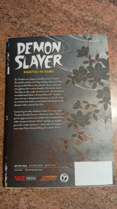 Manga Demon Slayer Kimetsu no Yaiba Volumen 3 - miniatura 2