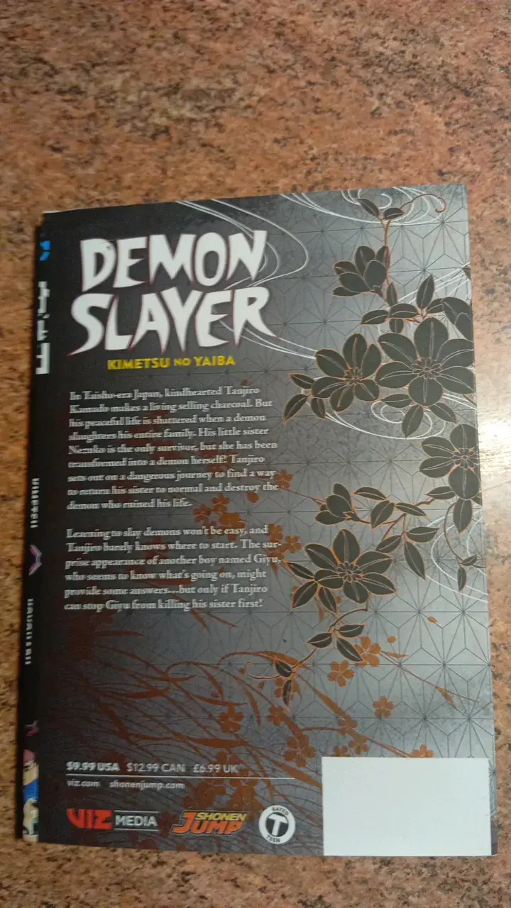 Manga Demon Slayer Kimetsu no Yaiba Volumen 4 - 2