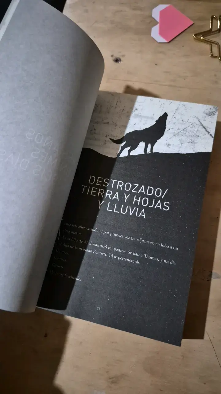 Libro 'La Canción del Cuervo' de TJ Klune - 3