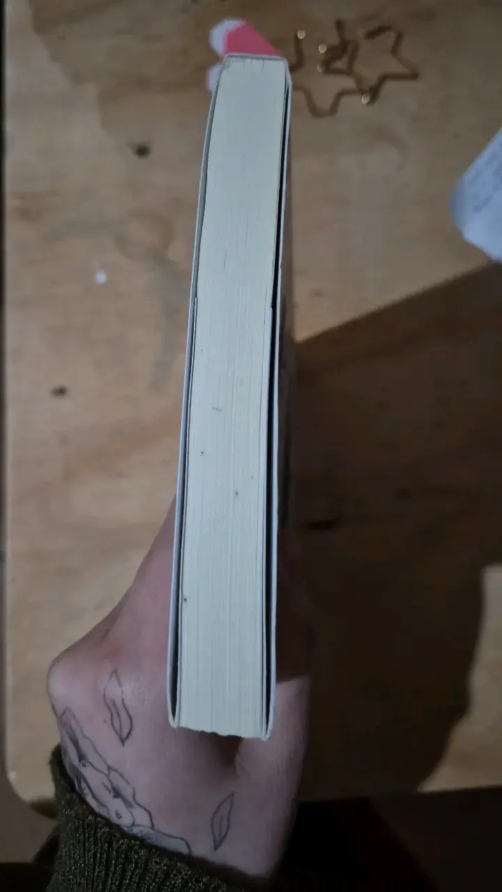 Libro Gallant de V.E. Schwab en buen estado - 3