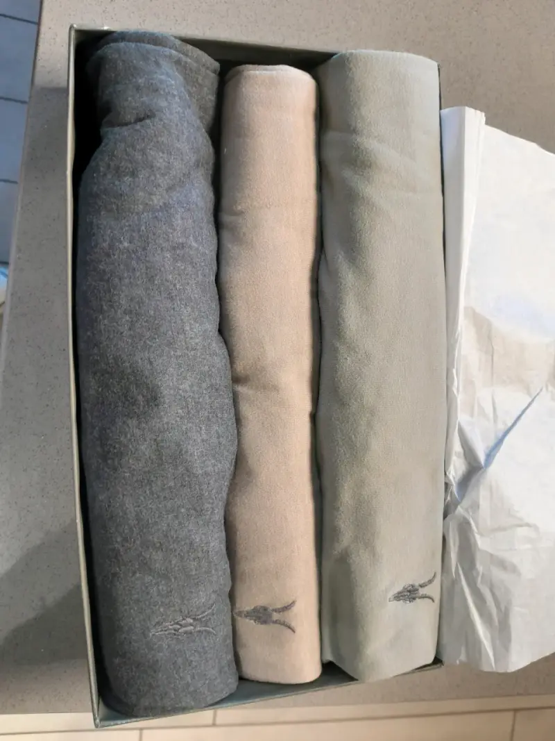 Pack de 3 poleras AllSaints colores neutros - 1