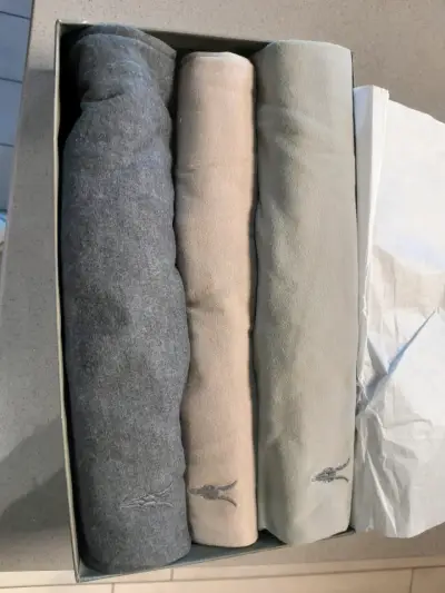 Pack de 3 poleras AllSaints colores neutros - miniatura 1