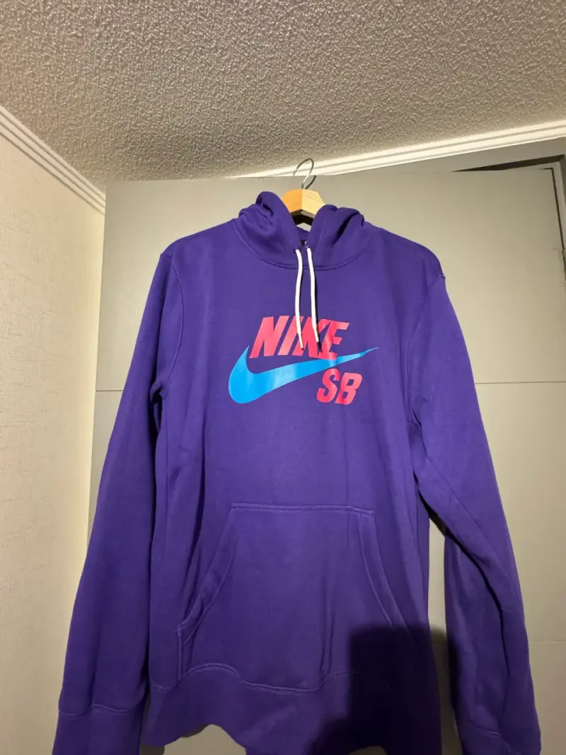 Polerón con capucha Nike SB morado - 1