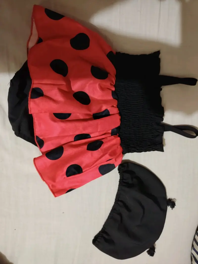 Disfraz de mariquita para bebé con gorro - 2