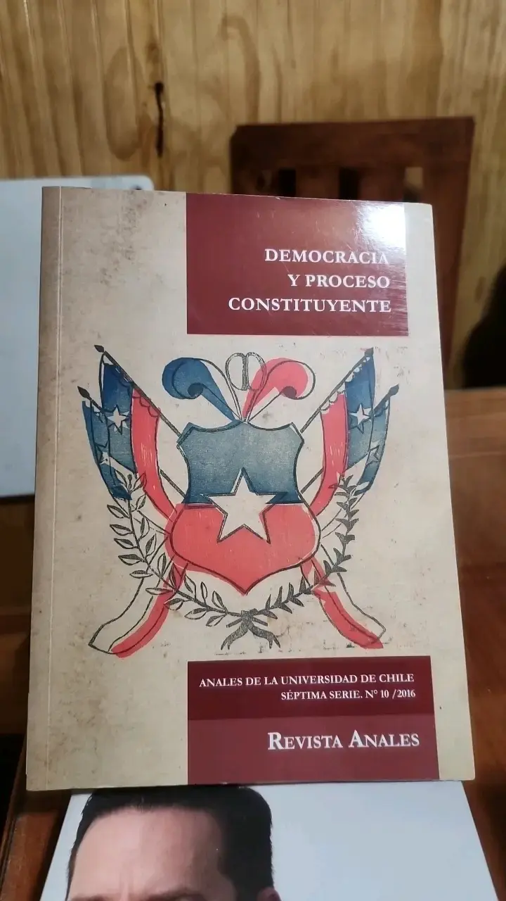 Libro Democracia y Proceso Constituyente - 1