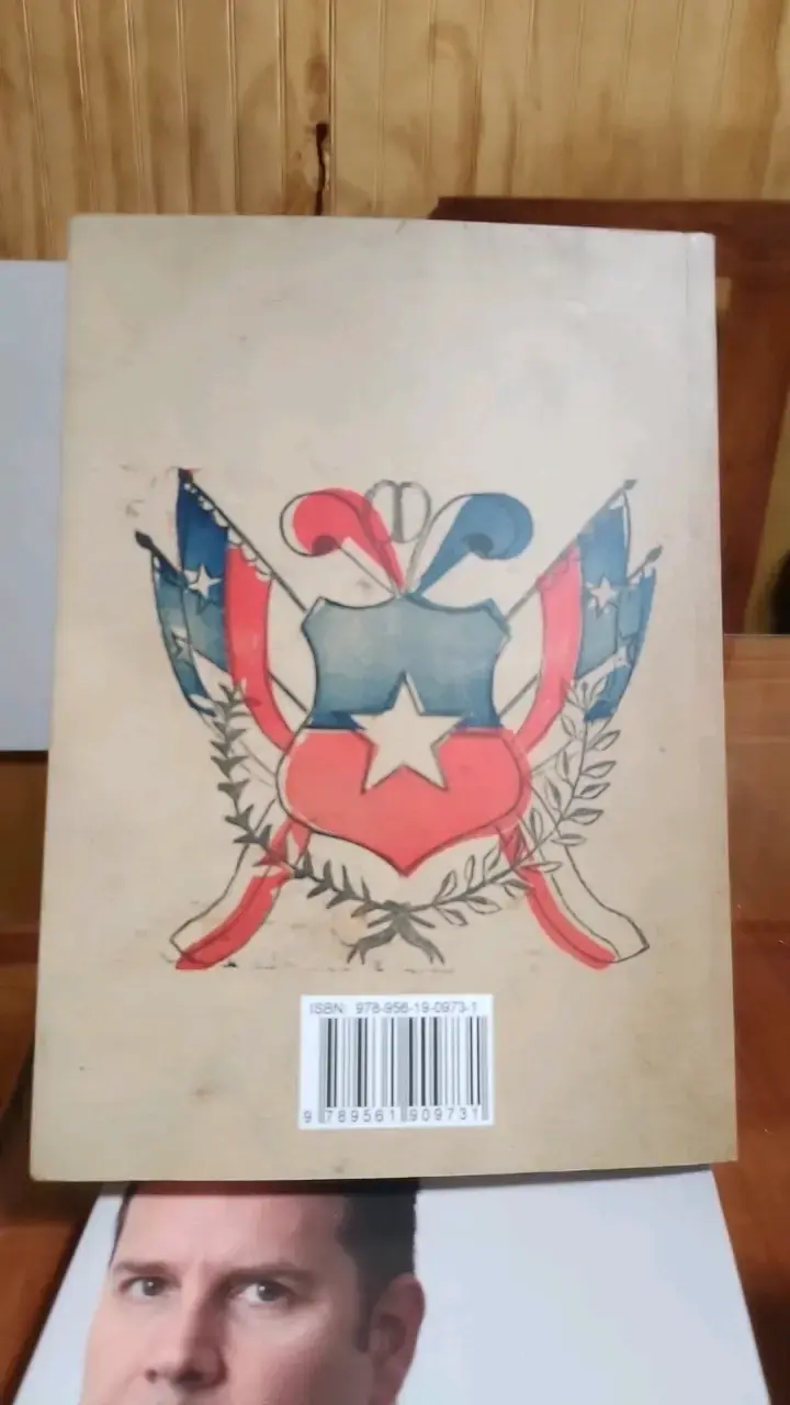 Libro Democracia y Proceso Constituyente - 2