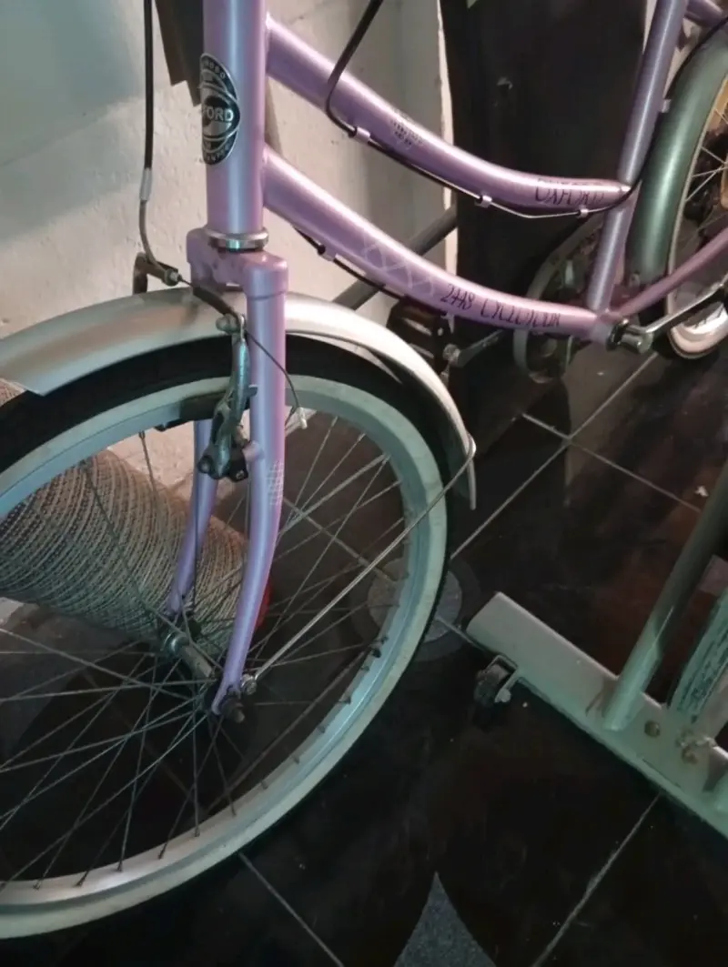Bicicleta Oxford 248 Cyclotour color lila - 2