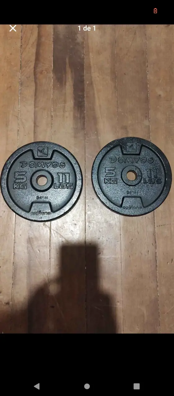 Pesas de 5 kg