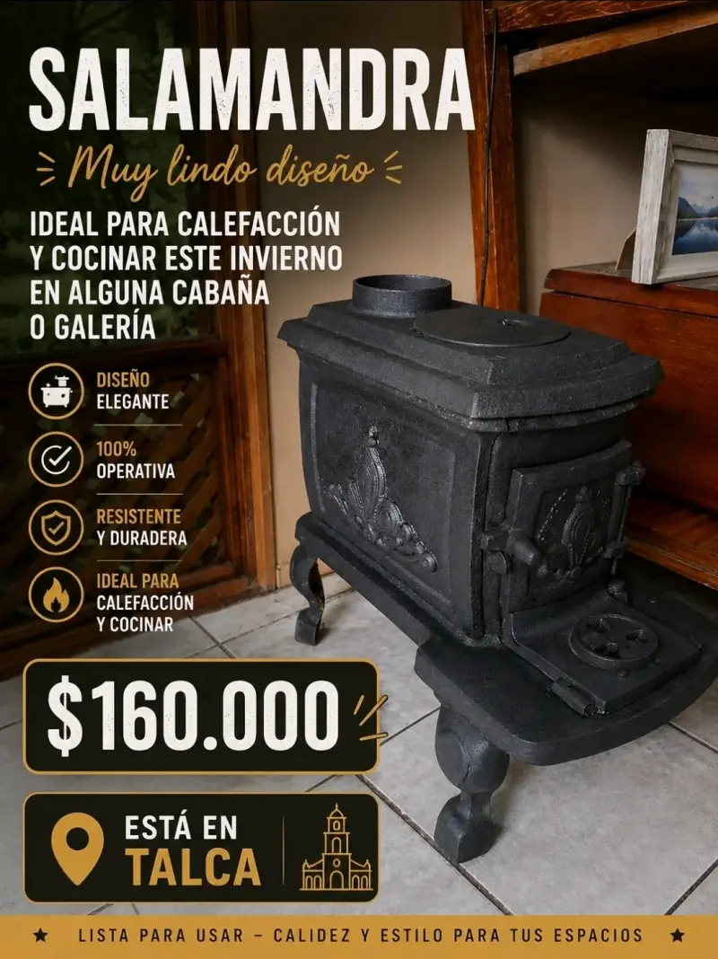 Salamandra de diseño elegante para calefacción y cocina