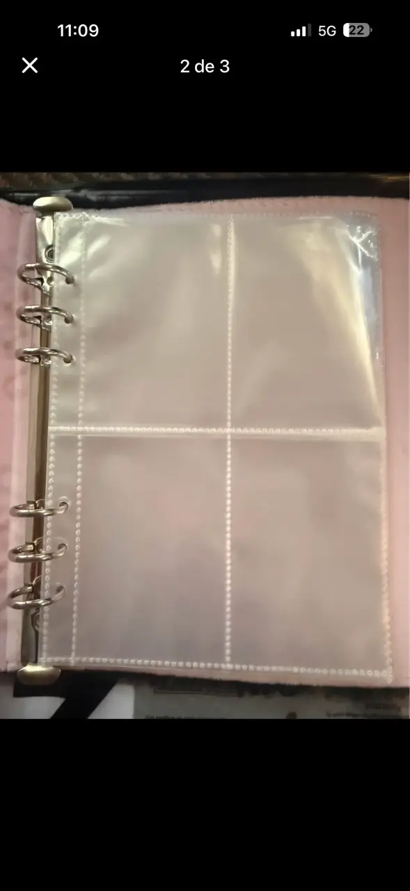 Álbum de Fotos Peludo con Diseño de Corazones - 2