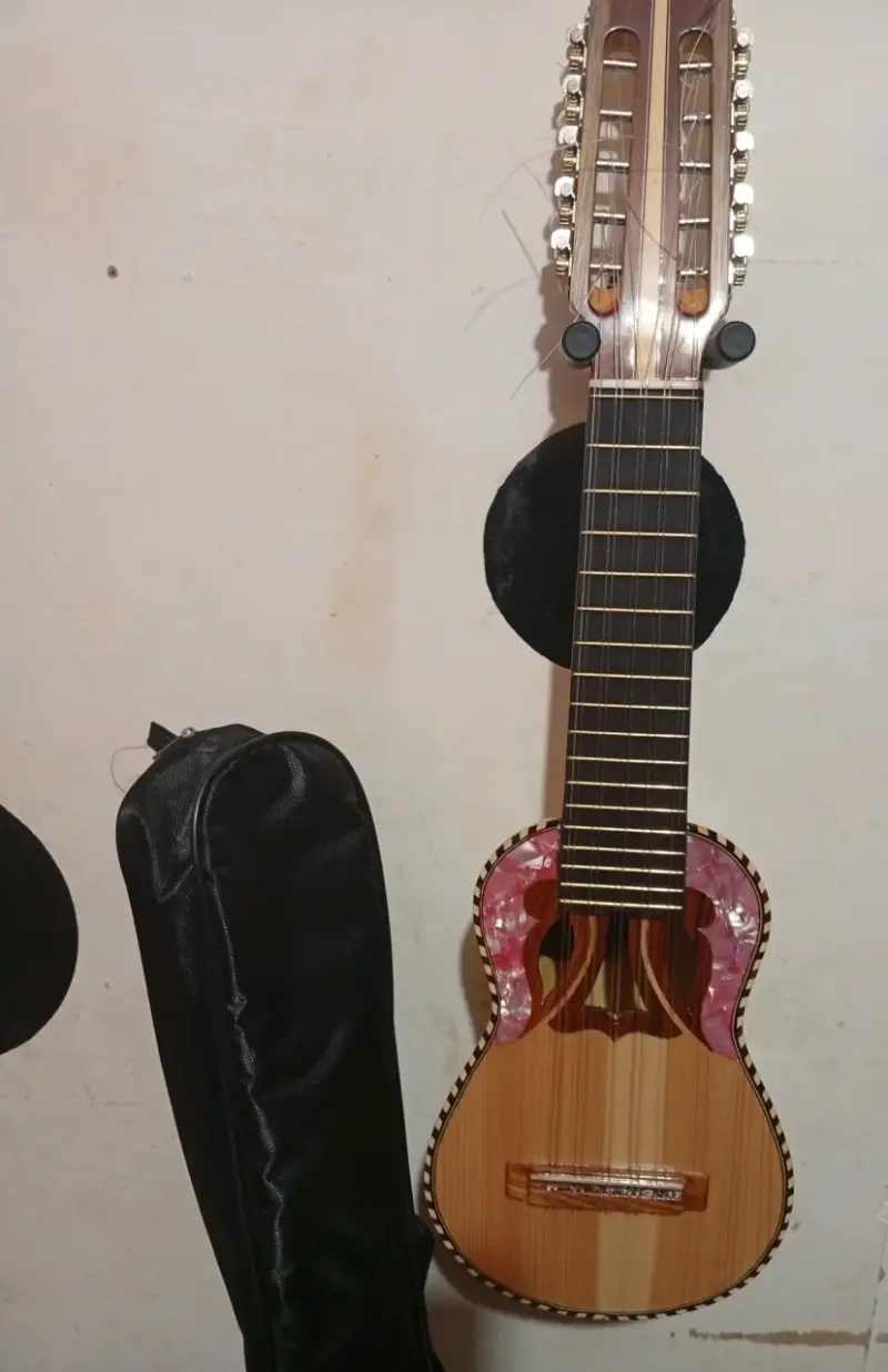 Charango de madera con funda incluida - 1