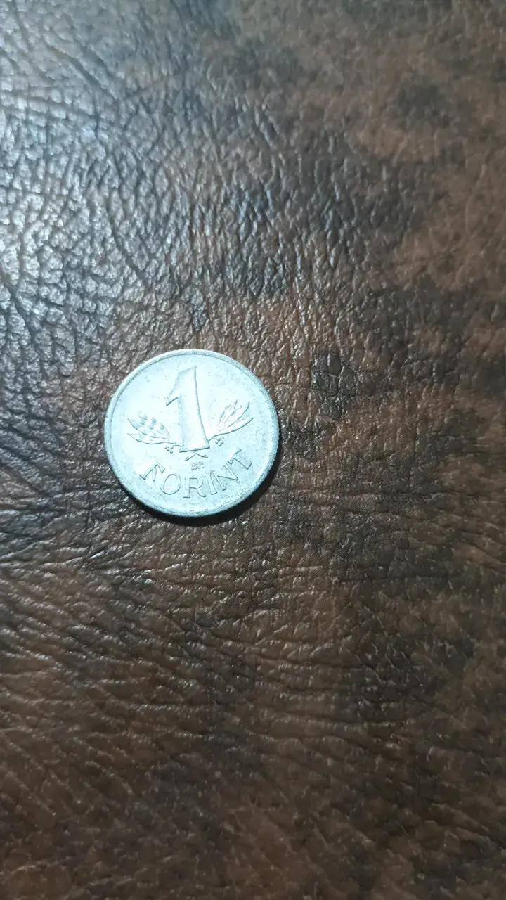 Moneda 1 Forint Hungría - 1