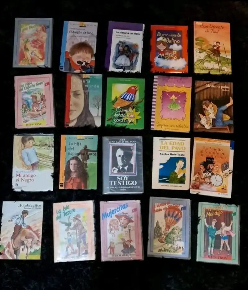 Lote de libros infantiles y juveniles variados