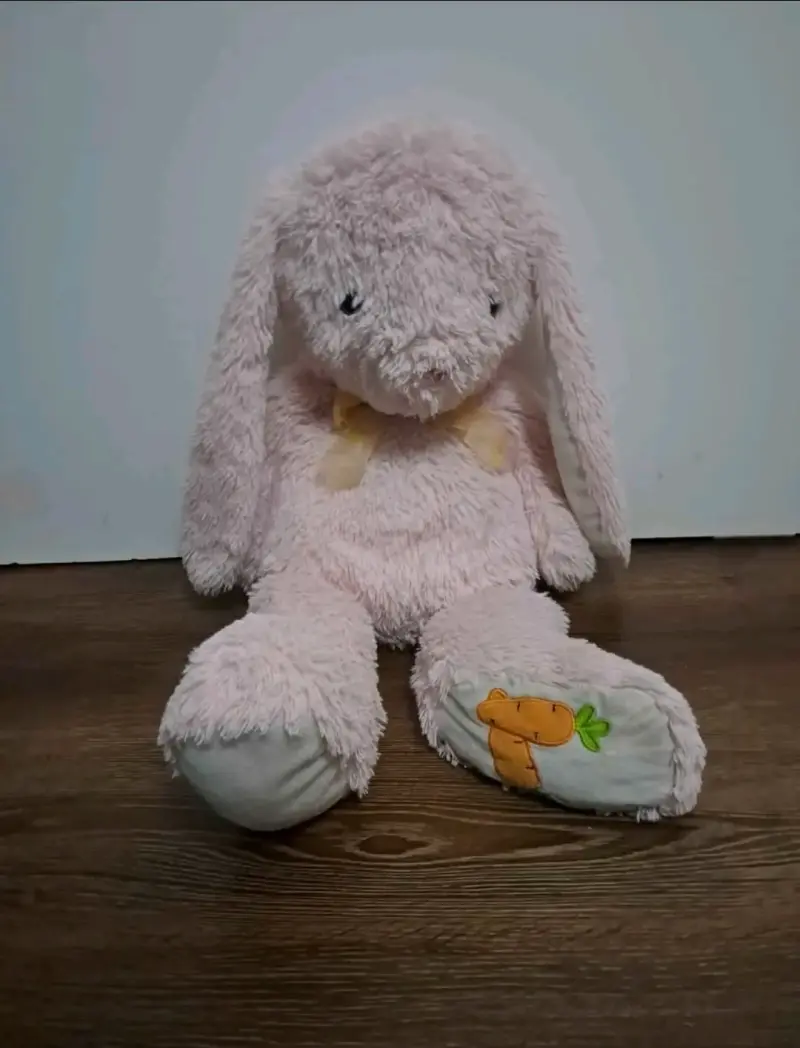 Peluche conejo rosa con zanahoria bordada - 1