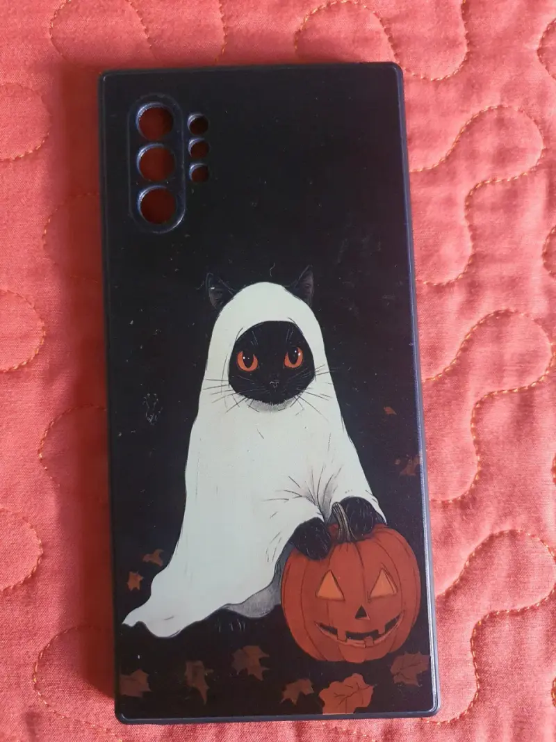 Carcasa para Samsung Note 10+ - 1