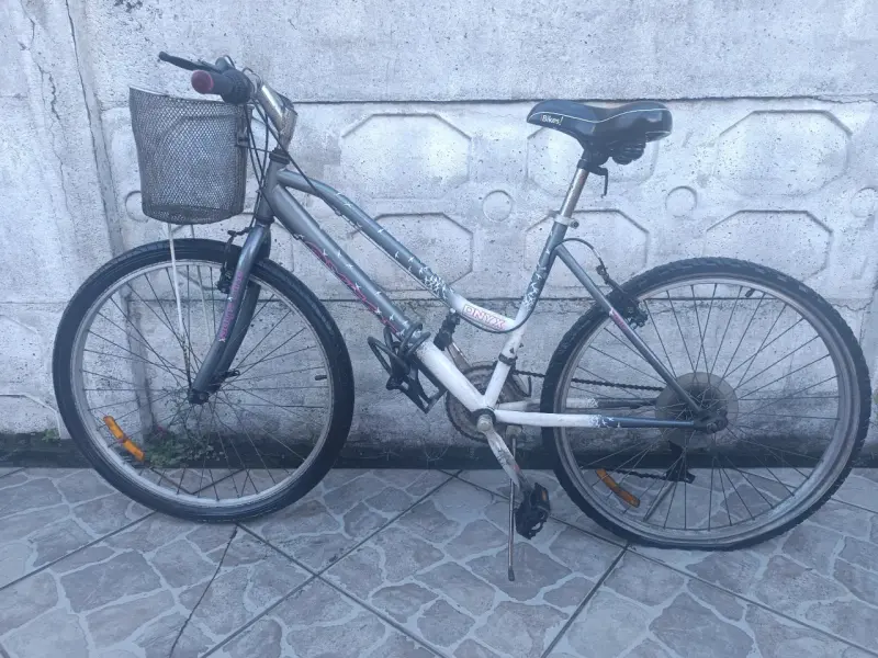 Bicicleta Onyx con Canasto y Cambios - 2