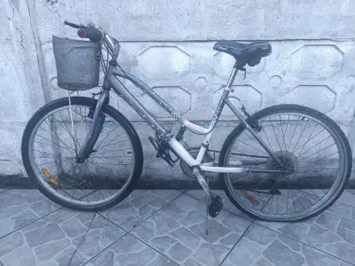 Bicicleta Onyx con Canasto y Cambios - miniatura 2