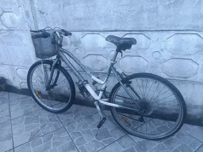 Bicicleta Onyx con Canasto y Cambios - miniatura 3