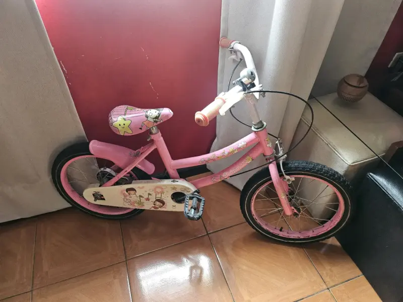 Bicicleta pequeña para niña - 1