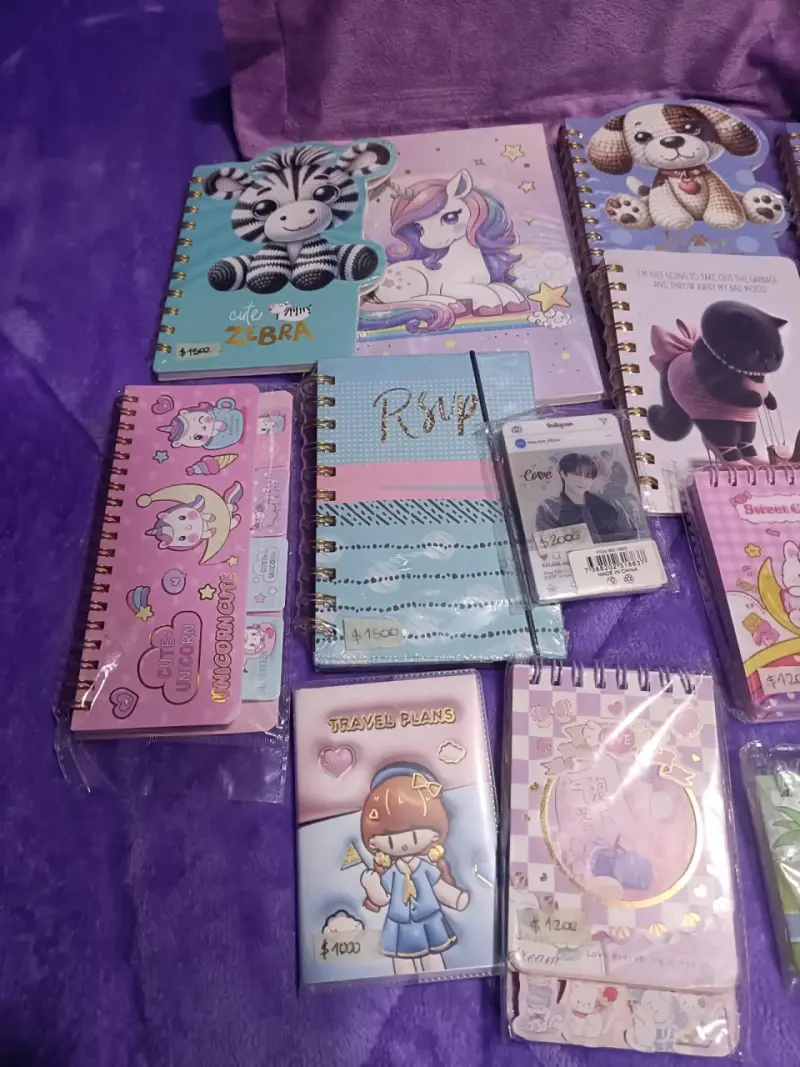 Libretas y juguetes - 2