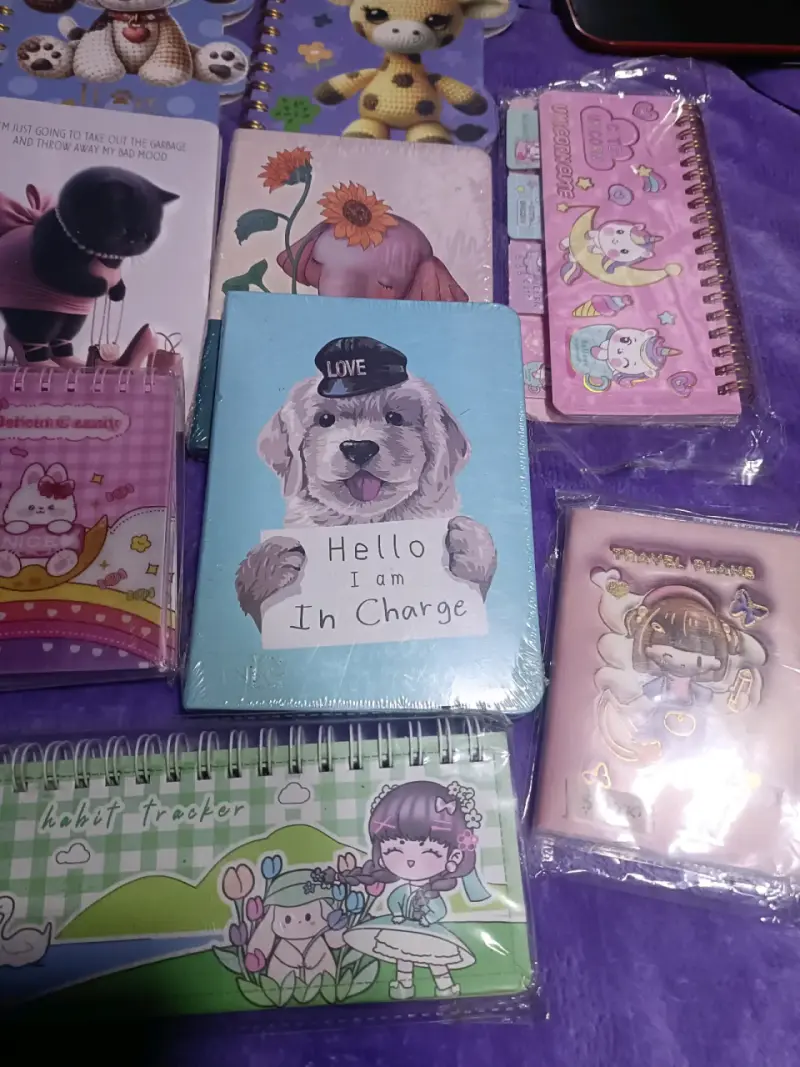 Libretas y juguetes - 4