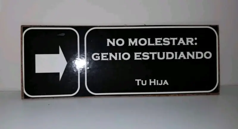 Letrero Decorativo No Molestar Genio Estudiando