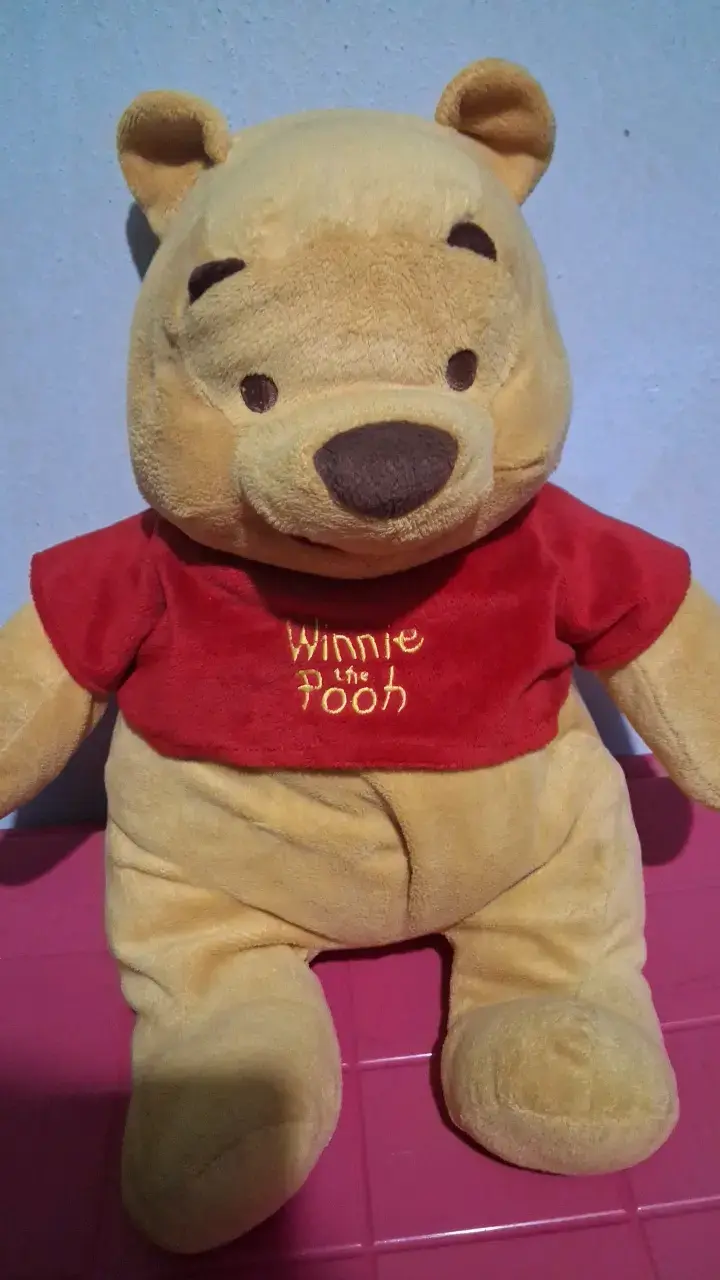 Peluche Winnie the Pooh grande