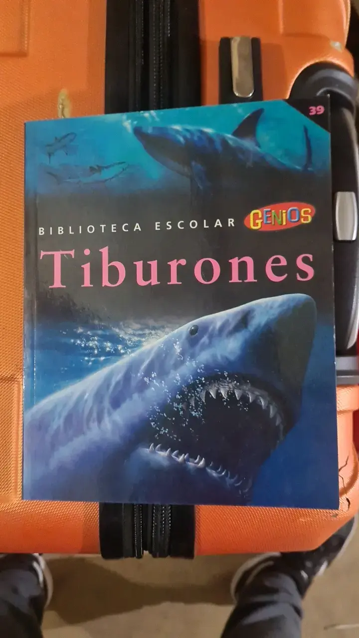 Libro educativo sobre tiburones para niños