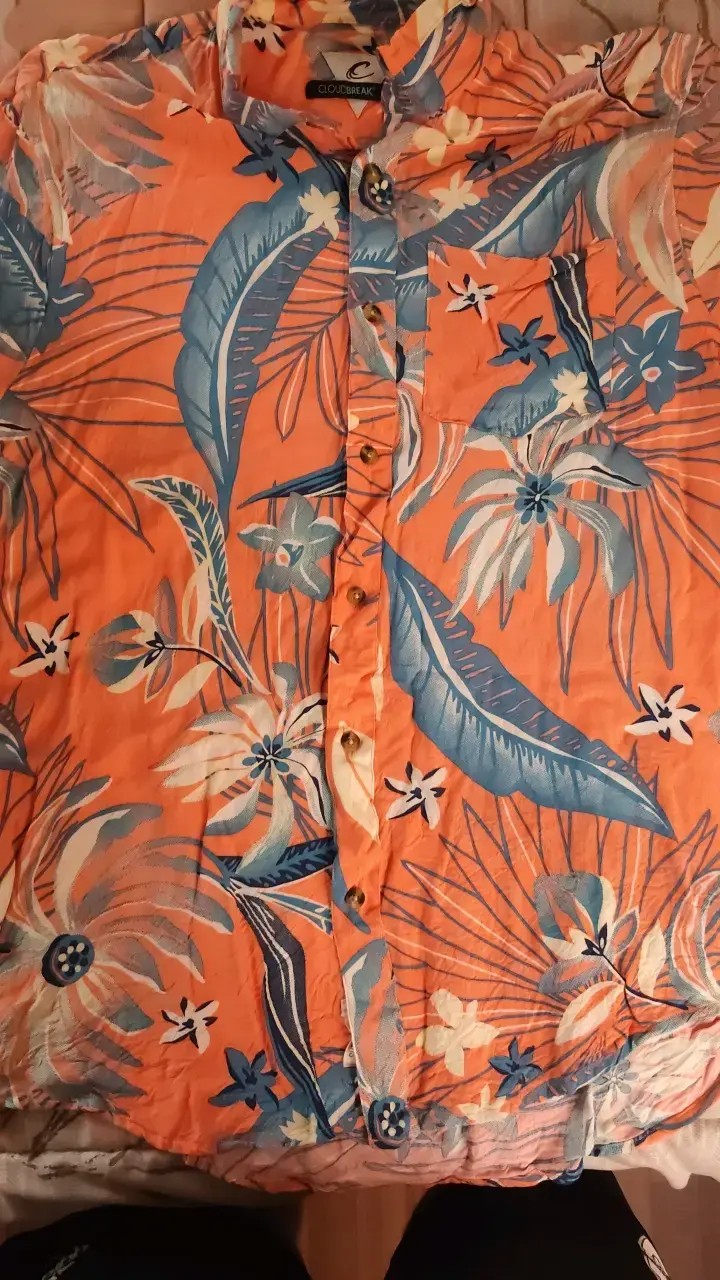 Camisa hawaiana estampada Cloudbreak - 1