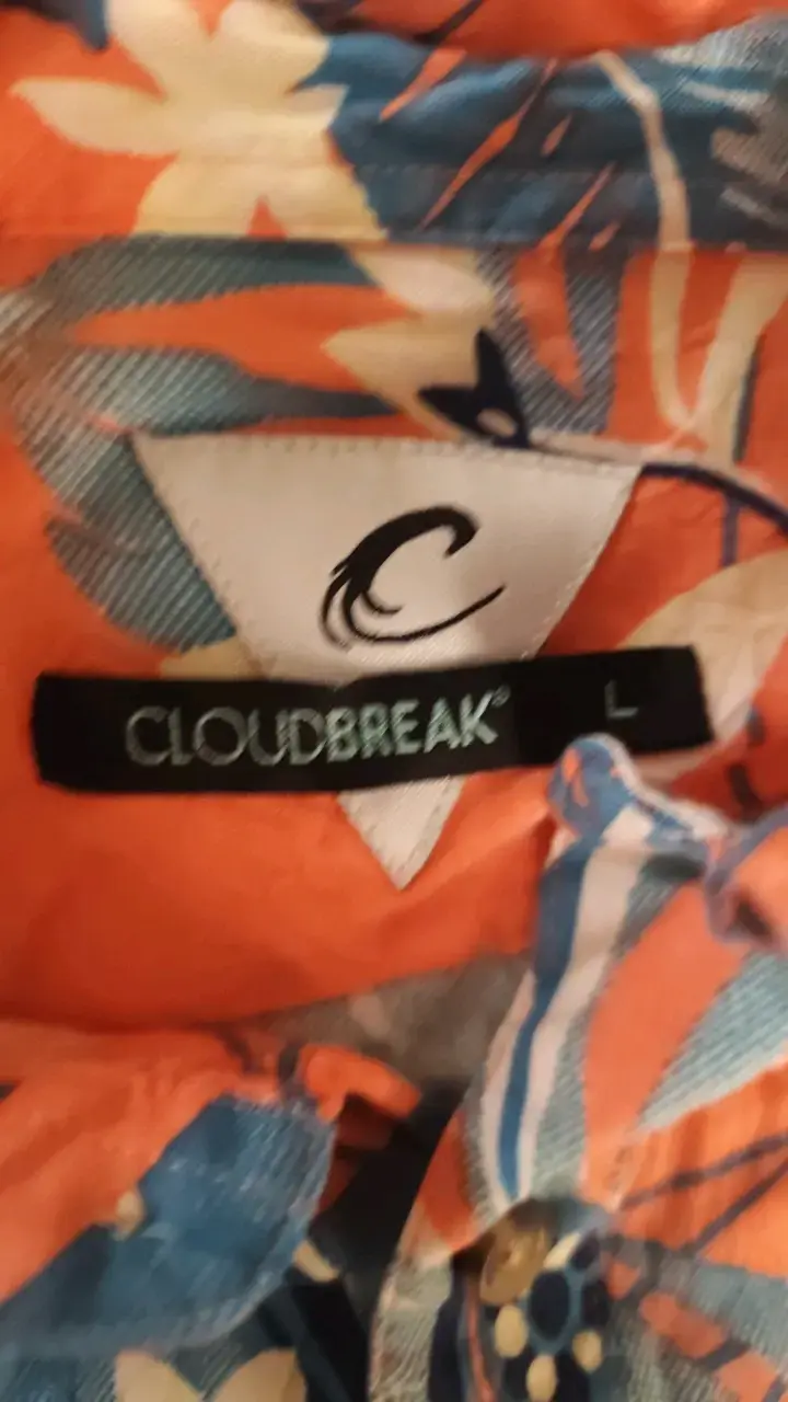 Camisa hawaiana estampada Cloudbreak - 2