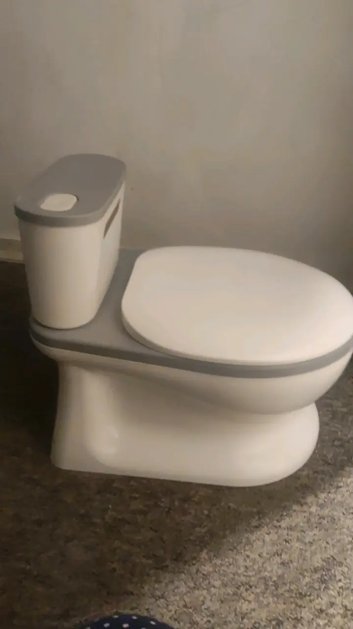 Baño entrenador infantil portátil blanco y gris - 3